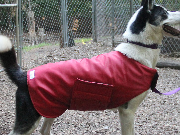 Dog Jackets